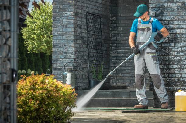 Best Fence Cleaning  in Benld, IL