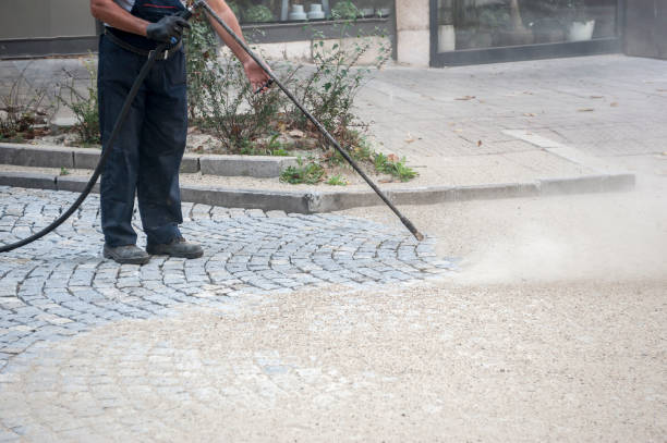 Best Gutter Cleaning  in Benld, IL
