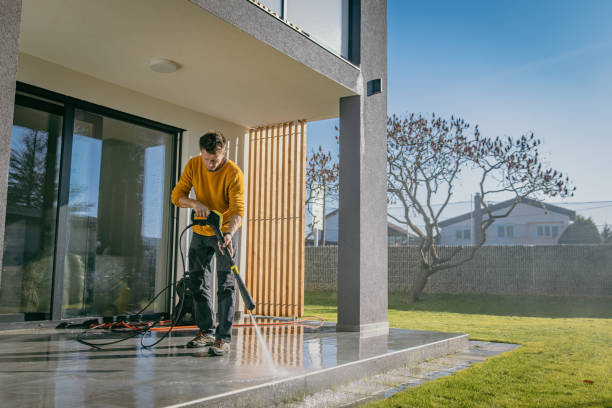Best Graffiti Removal  in Benld, IL